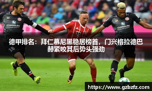 德甲排名：拜仁慕尼黑稳居榜首，门兴格拉德巴赫紧咬其后势头强劲