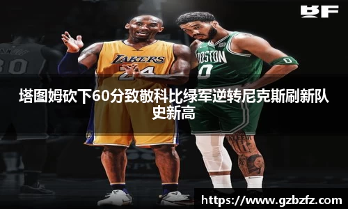 星空.综合体育官网
