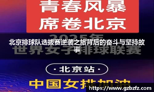 星空综合(中国)官方网站