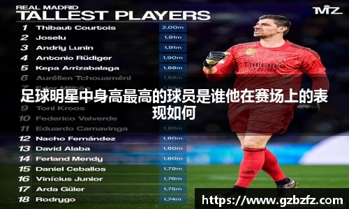 星空.综合体育官网