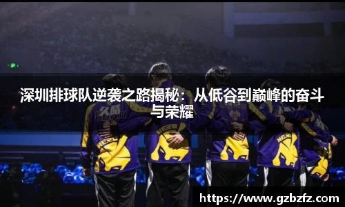 星空综合(中国)官方网站