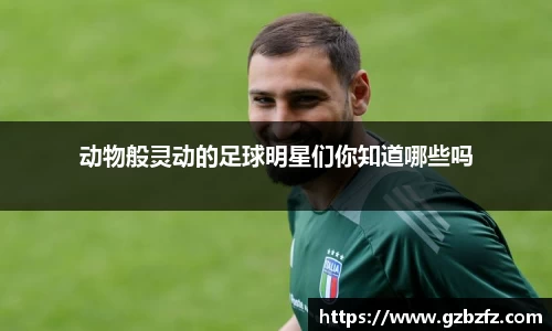 星空综合(中国)官方网站